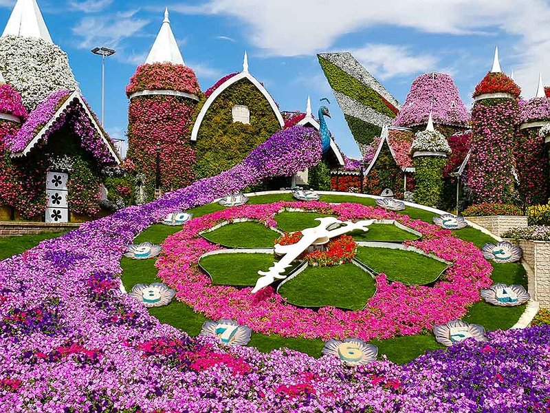 DUBAI MIRACLE GARDEN